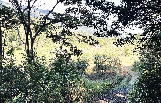 宜蘭礁溪山間秘境現場實景